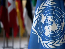 What does it mean to work for the United Nations? Insight into the actual day-to-day work at the UN.