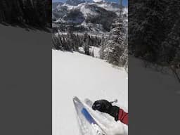 SUPER BOWL POWDER SKIING!!!#backcountryskiing