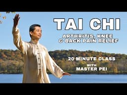 Tai Chi for Beginners | Arthritis, Knee & Back Pain Relief