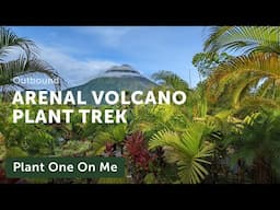 Plant Trek around ARENAL VOLCANO, COSTA RICA — Ep. 410