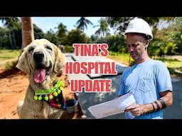 The concrete is down! Tina's hospital takes shape