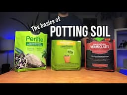 Best potting mix & soil for indoor plants | Beginners Guide to Soil & Amendments