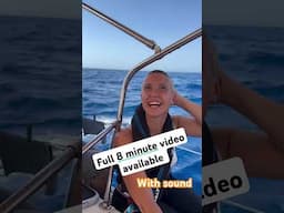 BUZZ CUT IN A BOAT