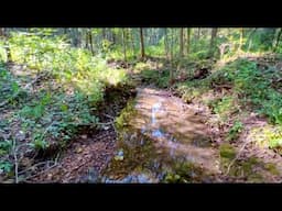 Ancient Creek on Owner Financed 10 Acres flows into White River! $1,500 Down InstantAcres.com -ID#WZ