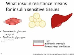 192-Obesity & Insulin Resistance