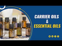 Difference Between Carrier Oils and Essential Oils - Essential Oils Guide