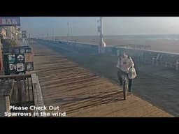 Ocean City Maryland Live Webcam | Maryland beach live webcam | ocean city boardwalk live cam