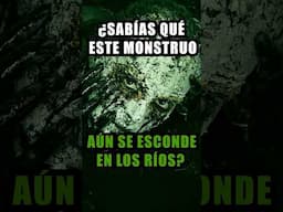 #barranquilla #monstruo #colombia #caiman #fantasmas #rio #paranormal #misterio #leyendasurbanas