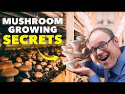 Inside the Mushroom Farm: How Mushrooms are Grown