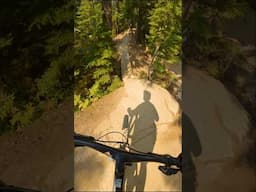 Can the Trail Bike Handle Whistler DH Trails? #mtb #mtblife #mtblove #mtblifestyle #mountainbike