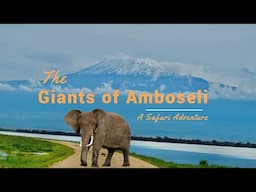 The Giants of Amboseli. Kenya Safari. #overlanding #safari #kenyasafari