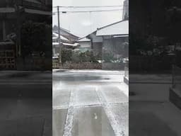 Snowy Day | Japan winter #snowy #winterinjapan