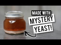 I Brewed A Beer With MYSTERY YEAST