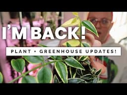 Did my plants survive? Plant & Greenhouse Updates!