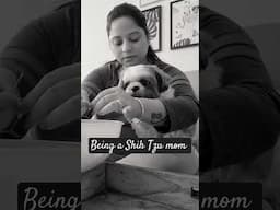 #ytshorts #youtubeshorts #shortvideo #shorts #bond #shihtzu #family #love #mom #candid