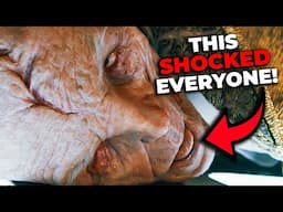 10 Most Messed Up Deaths In Star Wars: Sequel Trilogy