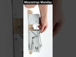 The Most Powerful Rat Trap Ever! The Ouell 411 Rat Crusher. M #mousetrapmonday