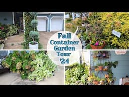 Last Container Garden Tour of 2024! Fall Container Inspiration in North Texas