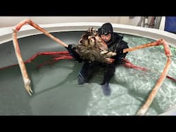 BIZARRE Giant Crustaceans