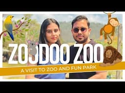 Exploring ZooDoo Zoo Tasmania | Travel Vlog 2 | A Fun-Filled Adventure with Wildlife