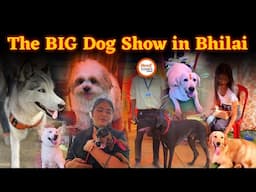 CG के सबसे बड़े Dog Show की Silver Jublie | 3 साल का डॉग इतना छोटा 😳 | Great Dane से डरा Reporter!