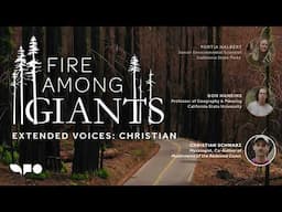 Fire Among Giants: Extended Voices Podcast — Christian Schwarz