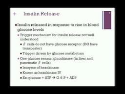 148-Insulin Signals