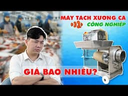 BÁO GIÁ MÁY TÁCH XƯƠNG CÁ CÔNG NGHIỆP - Giải pháp tối ưu cho các cơ sở chế biến thủy - hải sản