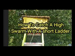 How To Catch A High Swarm With A short Ladder