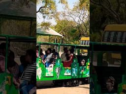 Nehru zoological park || Hyderabad || anilkumar vt #calmdown #love #shorts