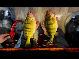 Ice fishing for JUMBO PERCH on Mille Lacs (with Hunter Nitti)