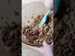 Gingerbread Granola Recipe | The Sweetest Journey