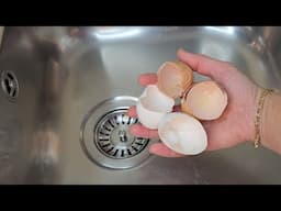 Eggshells Are WORTH GOLD! Here's Why You Shouldn't Throw Them Away !