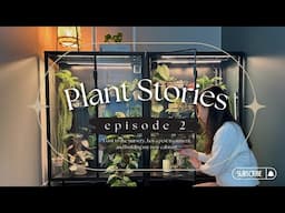 Plant stories ep 2 - a trip to the nursery, hoya pests, building my 2nd IKEA greenhouse cabinet!