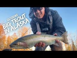 Catching Some Big Alaskan Rainbow Trout on Twitching Jigs!