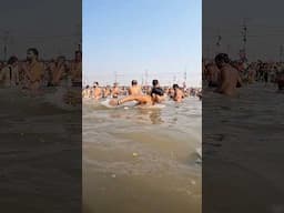 Butterfly & Freestyle Swimming at Mahakumbh 2025 #swimming #mahakumbh2025 #trivenisangam #swim