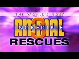 The Worlds Most Incredible Animal Rescues - 3