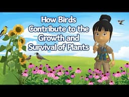 A WonderGrove for Birds: How Birds Contribute to the Growth and Survival of Plants