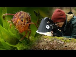 Photographing the Hidden World of the Forest Floor - Macro Walks ep9