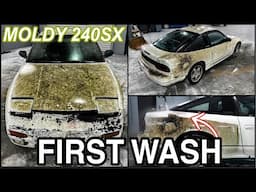 Disaster Barnyard Find | Extremely Moldy 240SX | First Wash Ever | Insane Car Detailing Restoration!