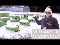 Will Snow Kill Your Garden Plants?