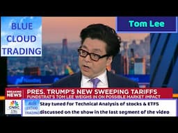 TOM LEE WEIGHS IN ON TRUMPS TARIFFS