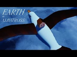 Earth To Albatross 🌎📡🪽