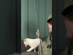 Video outtakes of Muscles, the field cat. 🤪