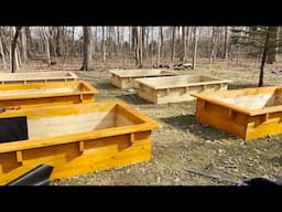 Installing/Staining  our Raised Beds