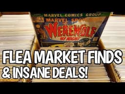 FLEA MARKET FINDS & INSANE DEALS! HUGE COMIC HAUL!!!