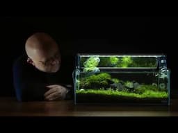 Nano Aquascape Tutorial - Scree by James Findley - How-To Documentary