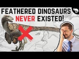 Evolutionary Biologist Reacts to Creationist Arguments