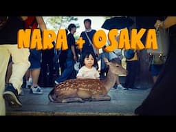 Film Photography in Nara & Osaka (Japan)