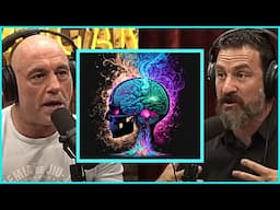 Joe Rogan and Neuroscientist Dr Huberman Blow your Mind on Alertness Tips